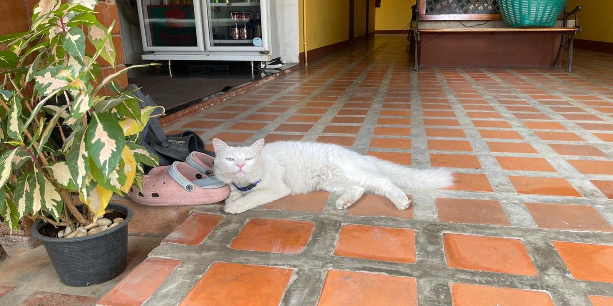 Yellow Tique Hotel Lampang Dış mekan fotoğraf